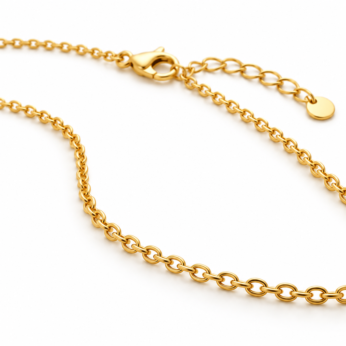 Gold-tone fine chain necklace, oblique view of chain and clasp