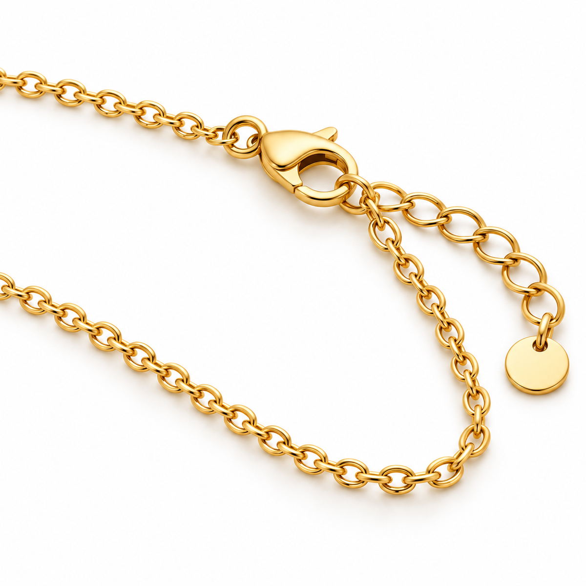 Gold-tone fine chain necklace, lobster clasp and extender chain